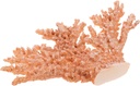 desktop-coral-decor-resin-statue-for-beach-theme-home-wedding-display-artificial-faux-coral-sculpture-in-yellow-06-desktop-coral-decor-resin-statue-for-beach-theme-h-6.jpg