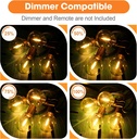 25-pack-gvvoohome-g40-led-replacement-light-bulbs-e12-screw-base-waterproof-globe-bulbs-for-indoor-outdoor-string-lights-patio-cafe-decor-dimmable-warm-white-non-solar-03-25-pack-gvvoohome-g40-led-replacement-light-bulbs--3.jpg