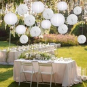 15-piece-white-paper-flowers-pom-poms-and-lanterns-set-for-wedding-and-events-03-15-piece-white-paper-flowers-pom-poms-and-lanterns-3.jpg