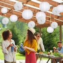 15-piece-white-paper-flowers-pom-poms-and-lanterns-set-for-wedding-and-events-06-15-piece-white-paper-flowers-pom-poms-and-lanterns-6.jpg