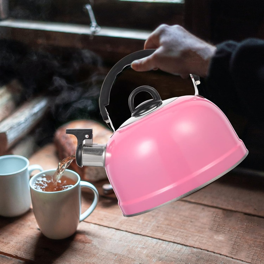 multipurpose-tea-kettle-for-home-restaurant-and-kitchen-convenient-and-practical-boiling-pot-06-multipurpose-tea-kettle-for-home-restaurant-and-ki-6.jpg