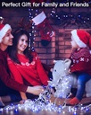 197ft-600led-blue-and-white-christmas-lights-for-indoor-and-outdoor-decor-hg-29v606c-06-197ft-600led-blue-and-white-christmas-lights-for-i-6.jpg