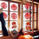 2025-chinese-new-year-decorations-set-lunar-new-year-spring-festival-decor-with-red-envelope-dragon-lanterns-window-clings-05-2025-chinese-new-year-decorations-set---lunar-new--5.jpg