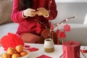 2025-chinese-new-year-decorations-set-lunar-new-year-spring-festival-decor-with-red-envelope-dragon-lanterns-window-clings-07-2025-chinese-new-year-decorations-set---lunar-new--7.jpg