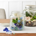 12-pack-ashland-6-75-square-glass-cracker-jars-02-12-pack-ashland-675-square-glass-cracker-jars-2.jpg