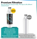certified-replacement-for-lg-lt1000p-water-filter-and-lt120f-air-filter-3-combo-pack-nsf-ansi-53-certified-icepure-plus-adq747935-refrigerator-filter-02-certified-replacement-for-lg-lt1000p-water-filter--2.jpg