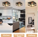 black-gold-flush-mount-ceiling-light-fixture-for-kitchen-entryway-modern-2-light-outdoor-lamp-for-hallway-farmhouse-decor-with-e26-base-04-black-gold-flush-mount-ceiling-light-fixture-for-k-4.jpg