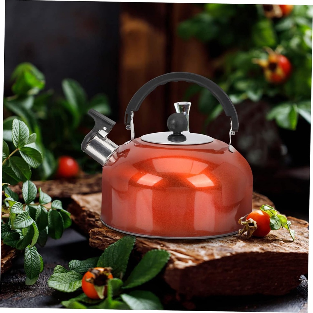 orange-stainless-steel-cordless-electric-whistling-tea-kettle-for-gas-hob-and-induction-stovetop-06-orange-stainless-steel-cordless-electric-whistling-6.jpg