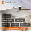 52-inch-indoor-outdoor-ceiling-fan-with-lights-and-remote-control-reversible-noiseless-dc-motor-for-bedroom-farmhouse-shop-by-addlon-04-52-inch-indooroutdoor-ceiling-fan-with-lights-and--4.jpg