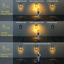 2-pack-solar-powered-wall-lantern-lights-with-3-lighting-modes-dusk-to-dawn-motion-sensor-outdoor-sconce-for-patio-garage-waterproof-fixtures-for-front-porch-02-2-pack-solar-powered-wall-lantern-lights-with-3-li-2.jpg