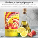 levo-strawberry-lemonade-gummy-mix-diy-infused-gummies-64-gummies-per-bag-1-pack-05-levo-strawberry-lemonade-gummy-mix---diy-infused-g-5.jpg