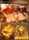 12-pack-fairy-lights-battery-operated-7ft-20-led-silver-wire-string-lights-for-bedroom-wedding-mason-jars-waterproof-mini-firefly-lights-for-diy-crafts-christmas-party-decor-06-12-pack-fairy-lights-battery-operated---7ft-20-led-6.jpg