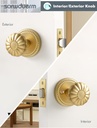 gold-passage-door-knob-brushed-satin-brass-interior-closet-hardware-zinc-alloy-1-pack-05-gold-passage-door-knob-brushed-satin-brass-interio-5.jpg