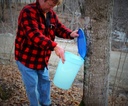 maple-syrup-tapping-kit-with-2-gallon-buckets-bucket-lids-and-10-tree-saver-spiles-spouts-02-maple-syrup-tapping-kit-with-2-gallon-buckets-buck-2.jpg