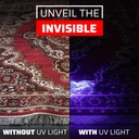 2-pack-gearlight-uv-black-light-flashlight-s100-mini-ultraviolet-pen-lights-for-leak-detection-pet-urine-bed-bug-scorpion-stain-and-dye-detector-06-2-pack-gearlight-uv-black-light-flashlight-s100----6.jpg