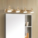 adjustable-led-vanity-light-for-bathroom-mirror-modern-wall-sconce-fixture-for-vanity-cabinet-mirror-frame-baska-picture-lighting-03-adjustable-led-vanity-light-for-bathroom-mirror----3.jpg