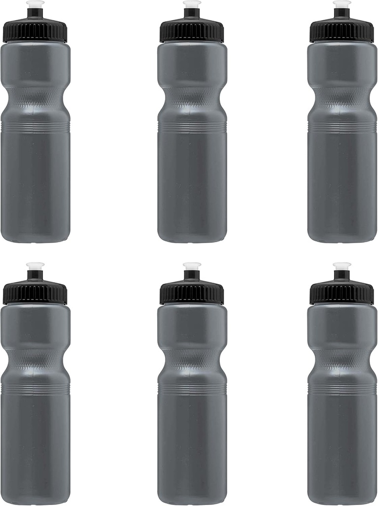 Bulk Set of 6 Discounted 28 oz Push Cap Plastic Water Bottles for Gym, Hiking, Camping - Silver Color, Ideal for Outdoor Sports