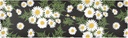 Daisy Design 2-in-1 Long Trivet Table Runner for Hot Dishes, Pots, Pans - Heat Resistant Pot Holder, Anti-Slip, Waterproof - Kitchen Countertop Decor Mat (39.3 x 11.8)