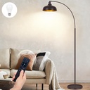 Bronze Arc Floor Lamp with Remote Control and Dimmable LED Bulb for Living Room and Bedroom